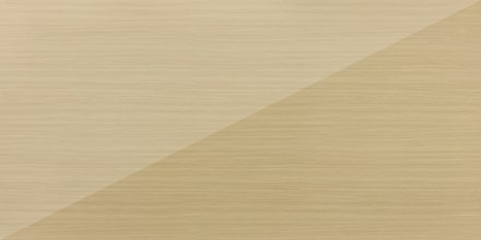 AAS-AC-079