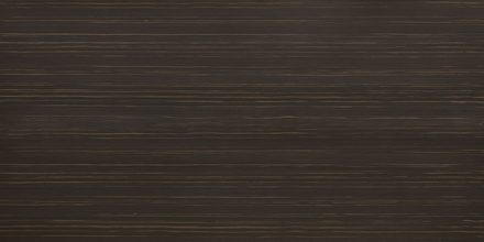 AAS-GA-1007