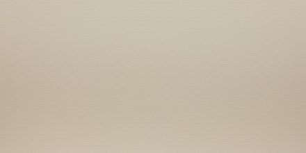 AAS-GA-1021