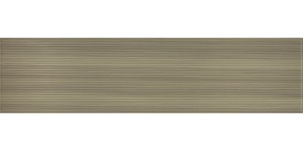 AAS-GA-1069
