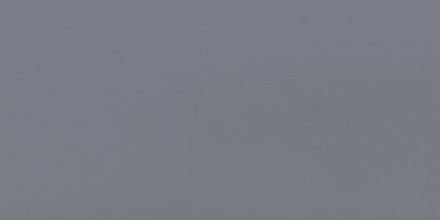 AAS-GA-1337