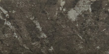AAS-GA-1398