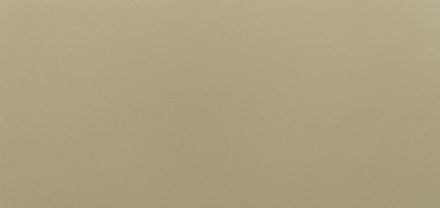 AAS-GA-1855