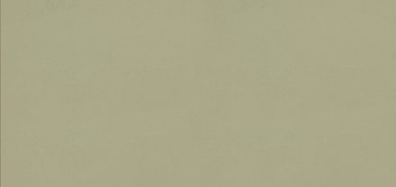 AAS-GA-1874