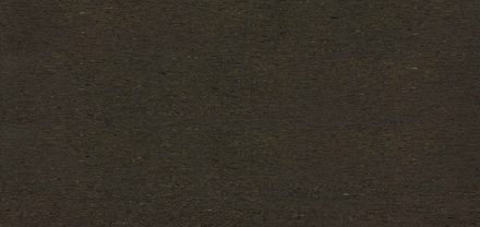 AAS-GA-1983