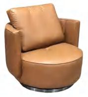 AAS-GA-264
