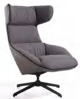 AAS-GA-302