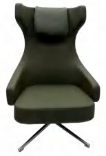AAS-GA-313