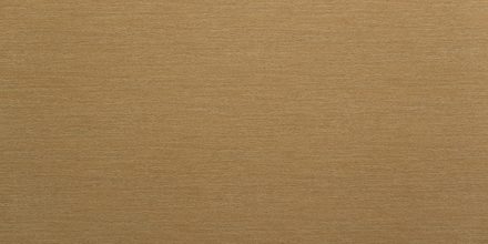 AAS-GC-1121
