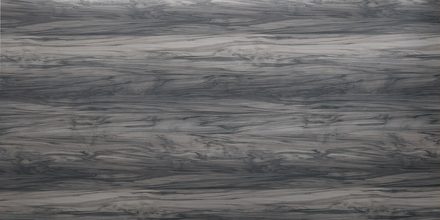 AAS-GC-1141