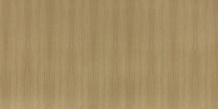 AAS-GC-395