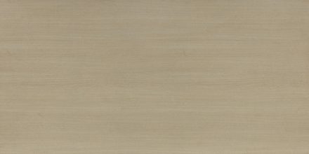 AAS-GC-488