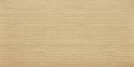 AAS-GC-933